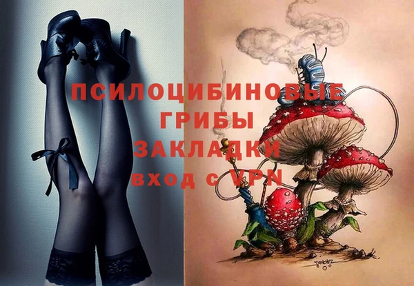 spice Алексин