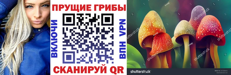 Псилоцибиновые грибы MAGIC MUSHROOMS  blacksprut ONION  Могоча 
