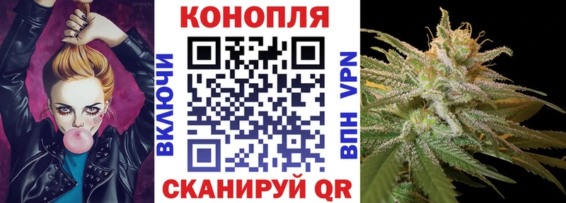 как найти закладки Могоча Каннабис тримм